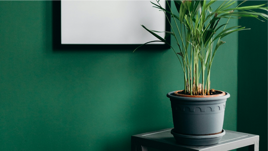 Tips for choosing planters to enhance your home decor | Coloring