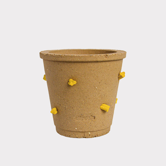 Ciireal Cheese Biscuit Ceramic Planter | Brown