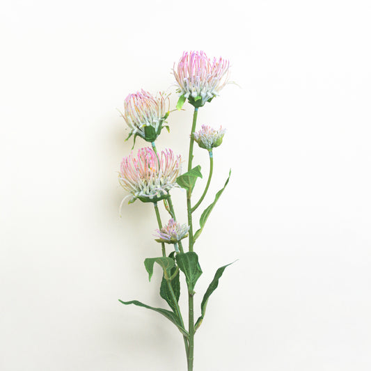 义乌苏荣花业 Artificial Flocked Leucospermum|Pink