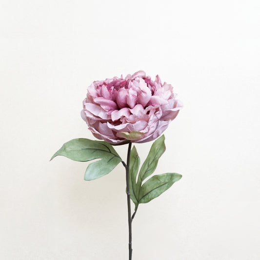 义乌苏荣花业 Artificial Peony|Pale Mauve