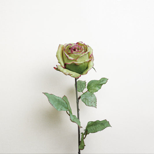 义乌苏荣花业 Faux Rose Stem|Dark Green