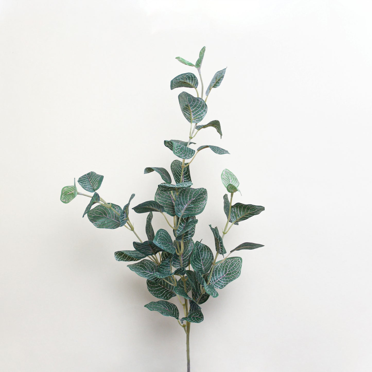 义乌苏荣花业 Artificial nerve plant (fittonia) Spray