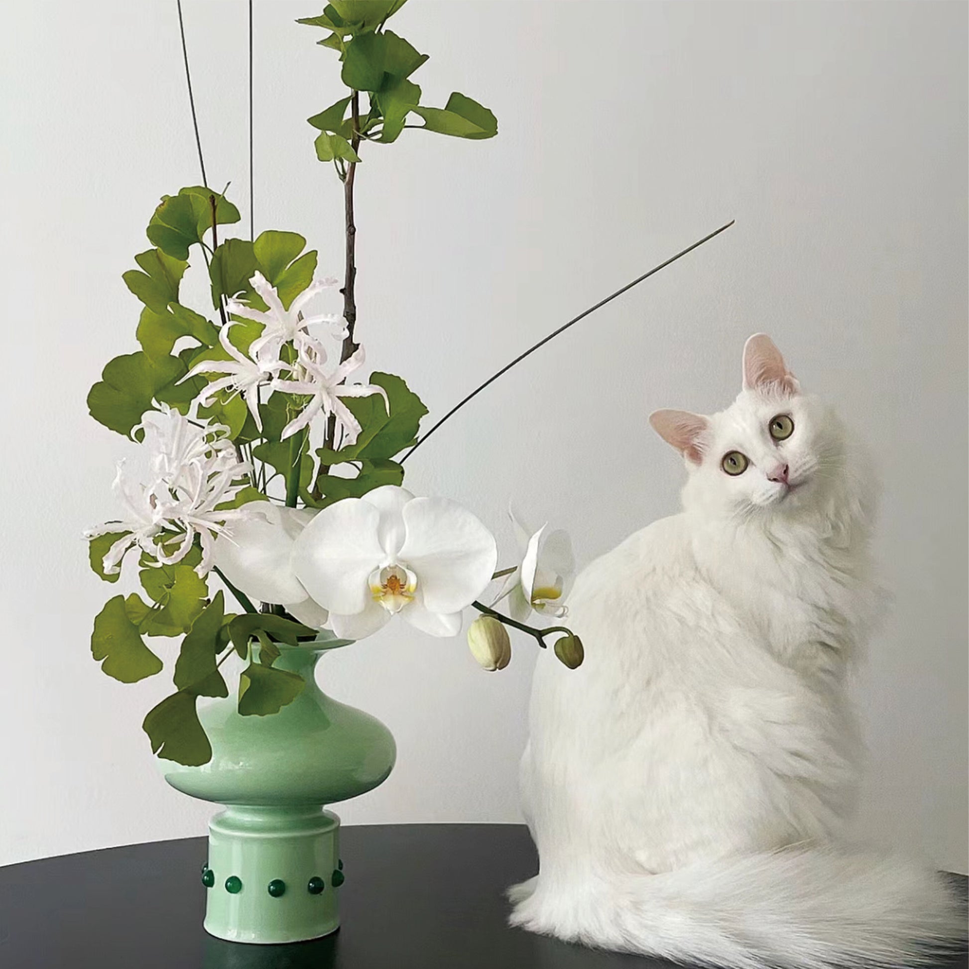 A black round table features a Chinese classical bamboo-shaped green vase inlaid with green jade, with a bouquet of white flowers placed inside. To the right of the vase sits a white cat, adding a touch of serenity and charm to the scene. 